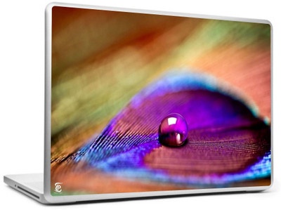 

Print Shapes drop on feather Vinyl Laptop Decal 15.6