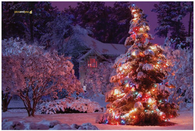 

Pics And You Pics And You Christmas Themed 44 Laptop Skin Vinyl Laptop Decal 15.6