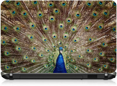 

Box 18 Peacock At best1076 Vinyl Laptop Decal 15.6