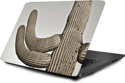 

Printclub Laptop Skin decal 15.6 inch- Laptop skin-596 Vinyl Laptop Decal 15.6
