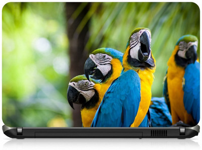 

Box 18 Colorful Parrots 1987 Vinyl Laptop Decal 15.6