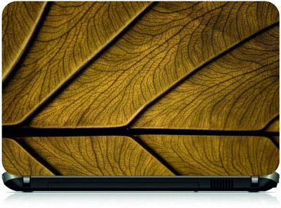 

Box 18 Brown leaf512 Vinyl Laptop Decal 15.6