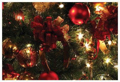 

Pics And You Pics And You Christmas Themed 37 Laptop Skin Vinyl Laptop Decal 15.6