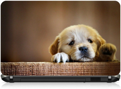 

Box 18 Innocent Puppy1544 Vinyl Laptop Decal 15.6