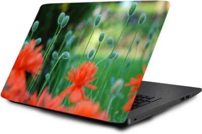 

Printclub Laptop Skin decal 15.6 inch- Laptop skin-664 Vinyl Laptop Decal 15.6