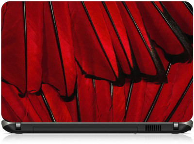 

Box 18 LP719 Vinyl Laptop Decal 15.6