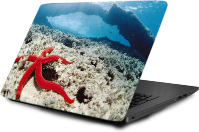 

Printclub Laptop Skin decal 15.6 inch- Laptop skin-803 Vinyl Laptop Decal 15.6