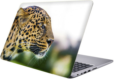 

Printclub Multicolor-074 Vinyl Laptop Decal 15.6