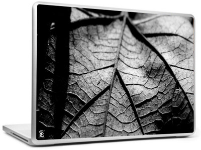 

Print Shapes Dry leaf black and white Vinyl Laptop Decal 15.6
