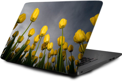 

Printclub Laptop Skin decal 15.6 inch- Laptop skin-681 Vinyl Laptop Decal 15.6