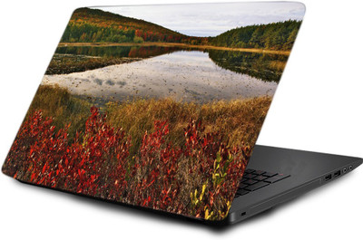 

Printclub Laptop Skin decal 15.6 inch- Laptop skin-401 Vinyl Laptop Decal 15.6