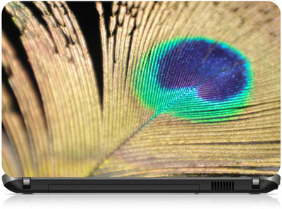

Box 18 Peacock Feather1161676 Vinyl Laptop Decal 15.6