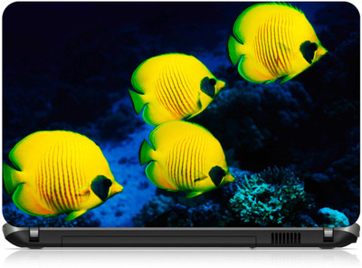 Box 18 Fishes688 Vinyl Laptop Decal 15.6