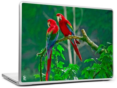 

Print Shapes Red parrots Vinyl Laptop Decal 15.6