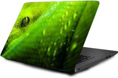 

Printclub Laptop Skin decal 15.6 inch- Laptop skin-485 Vinyl Laptop Decal 15.6
