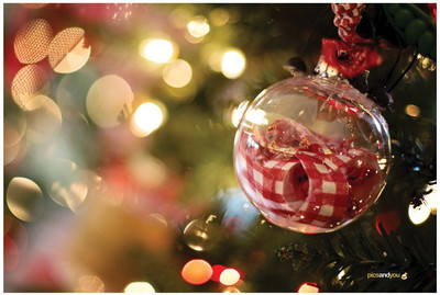 

Pics And You Pics And You Christmas Themed 174 Laptop Skin Vinyl Laptop Decal 15.6