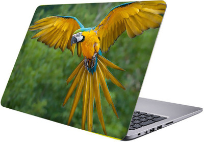

Printclub Designer-143 Vinyl Laptop Decal 15.6