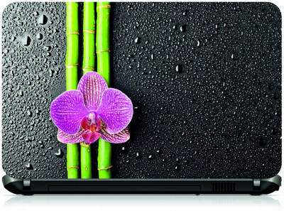 

Box 18 Water Drop Bamboo Flower422 Vinyl Laptop Decal 15.6