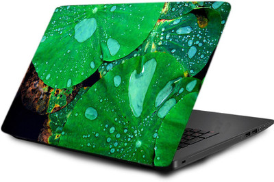 

Printclub Laptop Skin decal 15.6 inch- Laptop skin-577 Vinyl Laptop Decal 15.6