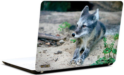 

Pics And You Animal Themed 374 3M/Avery Vinyl Laptop Decal 15.6