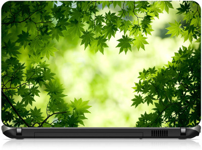 

Box 18 Maple Greenleaves693 Vinyl Laptop Decal 15.6