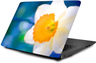 

Printclub Laptop Skin decal 15.6 inch- Laptop skin-547 Vinyl Laptop Decal 15.6