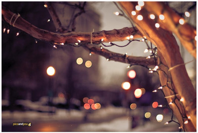 

Pics And You Pics And You Christmas Themed 128 Laptop Skin Vinyl Laptop Decal 15.6