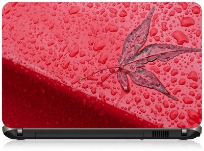 

Box 18 Rainy Red Autumn Abstract 2103 Vinyl Laptop Decal 15.6