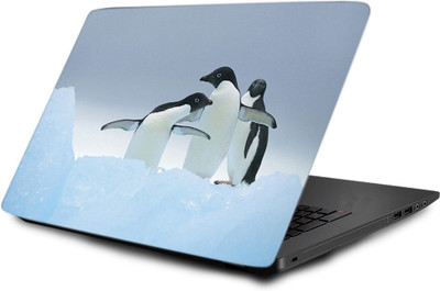 

Printclub Laptop Skin decal 15.6 inch- Laptop skin-424 Vinyl Laptop Decal 15.6