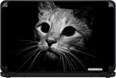 

Jack Parrot Kitten Vinyl Laptop Decal 15.5