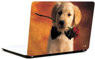 

Pics And You Will You Date Me Vinyl Laptop Decal 15.6