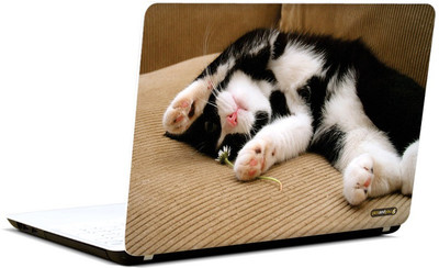

Pics And You Animal Themed 314 3M/Avery Vinyl Laptop Decal 15.6