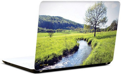 

Pics And You Green And Gorgeous 18 3M/Avery Vinyl Laptop Decal 15.6