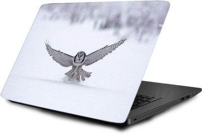 

Printclub Laptop Skin decal 15.6 inch- Laptop skin-762 Vinyl Laptop Decal 15.6