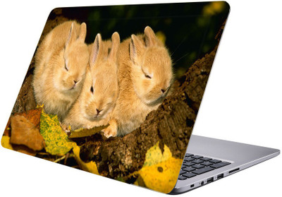 

Printclub Multicolor-148 Vinyl Laptop Decal 15.6