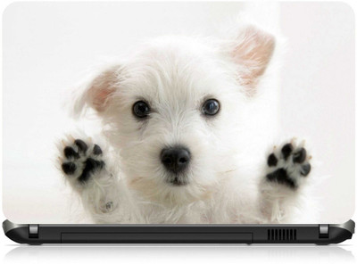 

Box 18 Dog 3D957 Vinyl Laptop Decal 15.6