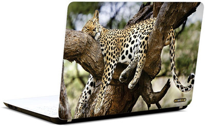 

Pics And You Animal Themed 201 3M/Avery Vinyl Laptop Decal 15.6