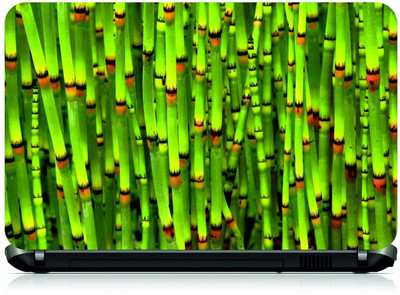 

Box 18 Bamboo436 Vinyl Laptop Decal 15.6