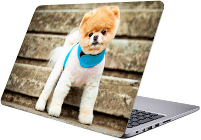 

Printclub Multicolor-353 Vinyl Laptop Decal 15.6