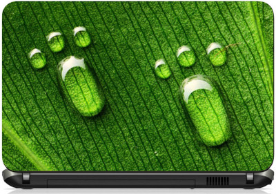 

Print Shapes Grenn Water Foot Print Vinyl Laptop Decal 15.6