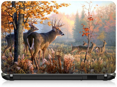 

Box 18 LP1762 Vinyl Laptop Decal 15.6