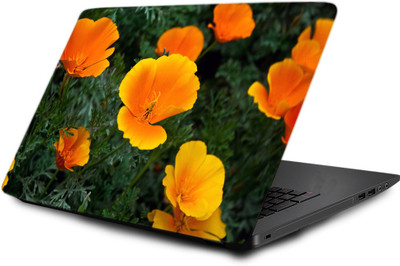

Printclub Laptop Skin decal 15.6 inch- Laptop skin-479 Vinyl Laptop Decal 15.6