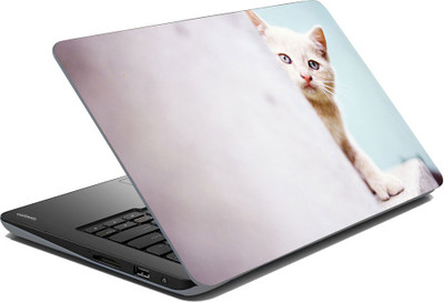 meSleep Wild Life LS-53-399 Vinyl Laptop Decal 15.6 available at flipkart for Rs.199