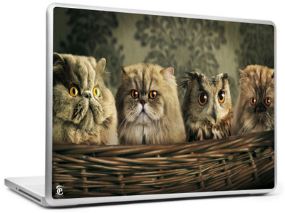 

Print Shapes Owl and cats Vinyl Laptop Decal 15.6