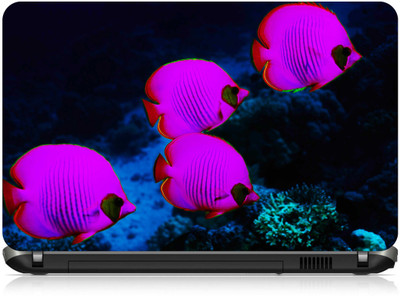 

Box 18 Fishes3695 Vinyl Laptop Decal 15.6