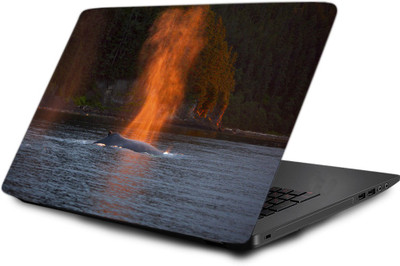 

Printclub Laptop Skin decal 15.6 inch- Laptop skin-725 Vinyl Laptop Decal 15.6