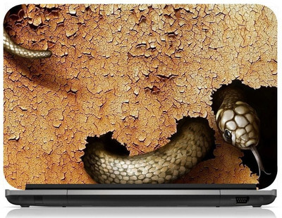 

Box 18 Earth Snake1350 Vinyl Laptop Decal 15.6