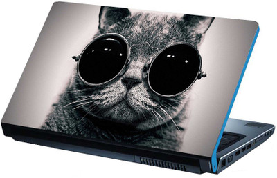 

Alter Ego Punk Cat Matte Laminated Vinyl Laptop Decal 15.6