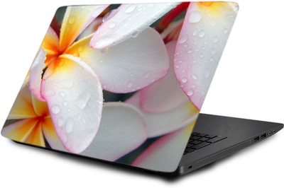 

Printclub Laptop Skin decal 15.6 inch- Laptop skin-702 Vinyl Laptop Decal 15.6