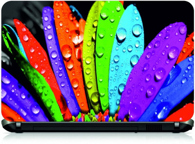 

Box 18 Colourful Leaves590 Vinyl Laptop Decal 15.6